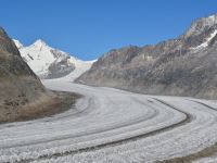 Aletschtour 2014 - Aletschgletscher und Konkordiaplatz