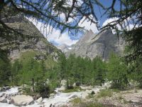 5540682_Gletscherfluss im Val Ferret.jpg