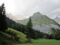 7200755_Val Ferret.jpg