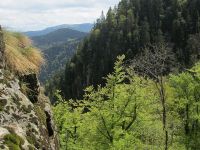 8956_Talblick vom Sentier des Roches.jpg