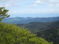 8974_Blick bis zum Schwarzwald.jpg