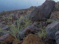 Stromboli Geologie