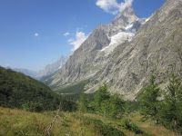 5390663_Val Ferret .jpg