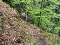 8960_Sentier des Roches.jpg