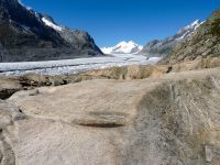 Gletscherschliff am Aletschgletscher (Wallis/Schweiz 09/2014)