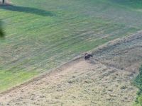 'Schöne Aussicht' ins Nistertal