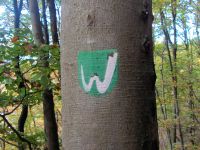 Wiedsteig-Logo.jpg