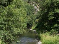 Große Nister in der Kroppacher Schweiz