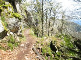 8948_Sentier des Roches.jpg