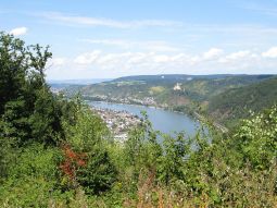 Mittelrhein bei Boppard