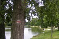 Wanderzeichen im Bois de Vincennes