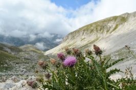 GranSasso_DSC_0473.jpg