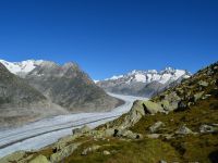 Aletschtour 2014 - Aletschgletscher und Wannenhorn-Gruppe [3905m]