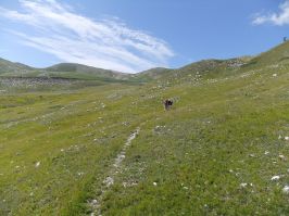 Campo Imperatore