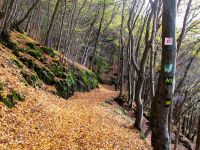 Herbst am Wiedweg.jpg