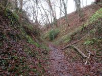 11_Loess-Hohlweg am Siegsteig bei Seligenthal.jpg