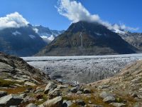 Aletschtour 2014 - Aletschgletscher und Dreieckhorn [3811m}