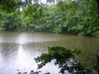 Weiher im Krabachtal