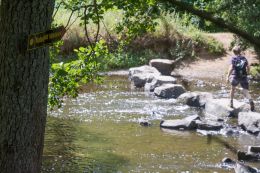 Westerwaldsteig | Naturpfad Weltende