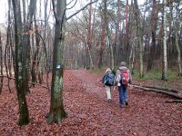 01_Im Hufwald bei Siegburg-Stallberg.JPG