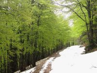 030_schneebedeckter Weg.jpg