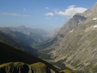 6201268_Val Ferret.jpg