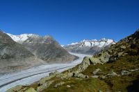 Aletschtour 2014 - Aletschgletscher und Wannenhorn-Gruppe [3905m]