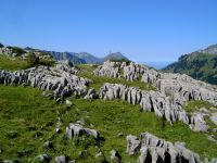 Rinnenkarren im Kalkstein auf der Bundalp im Hinteren Kiental.jpg