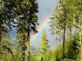 8917_Nach Regen folgt Sonnenschein mit Regenbogen.jpg