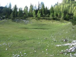 Karst-Doline im Kalkstein des Valle Civetta.jpg