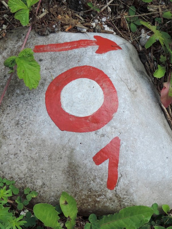 Slovenian Mountain Trail is marked with number 1 at the side.