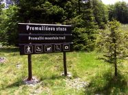 premuzic-trail