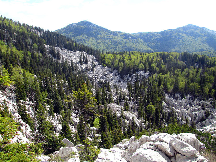 Karstlandschaft