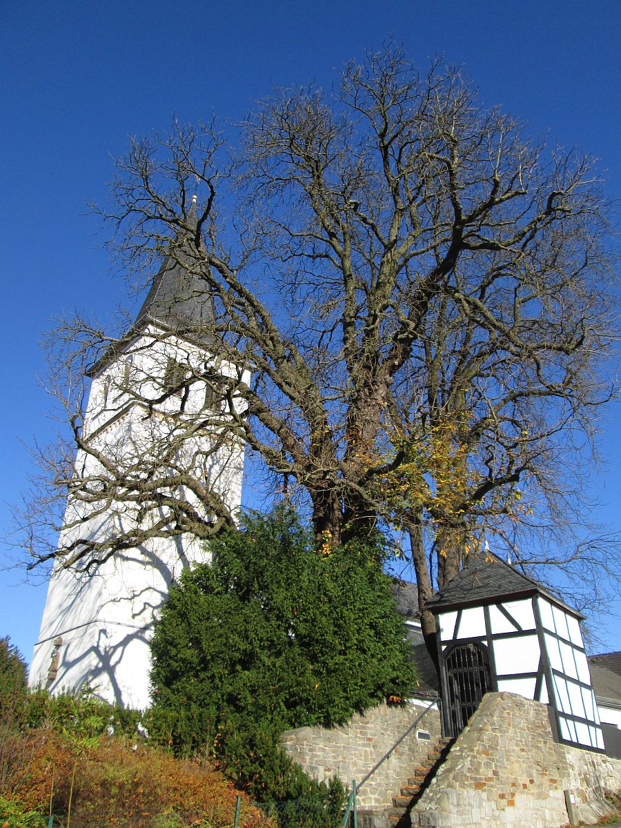 tl_files/content/Fotos/Mittelgebirge/Bergisches Land/Dukterath/Fotos/IMG_3804_Auswahl_1200opt.jpg