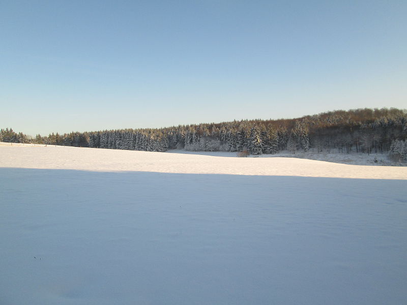 Schnee in der Eifel