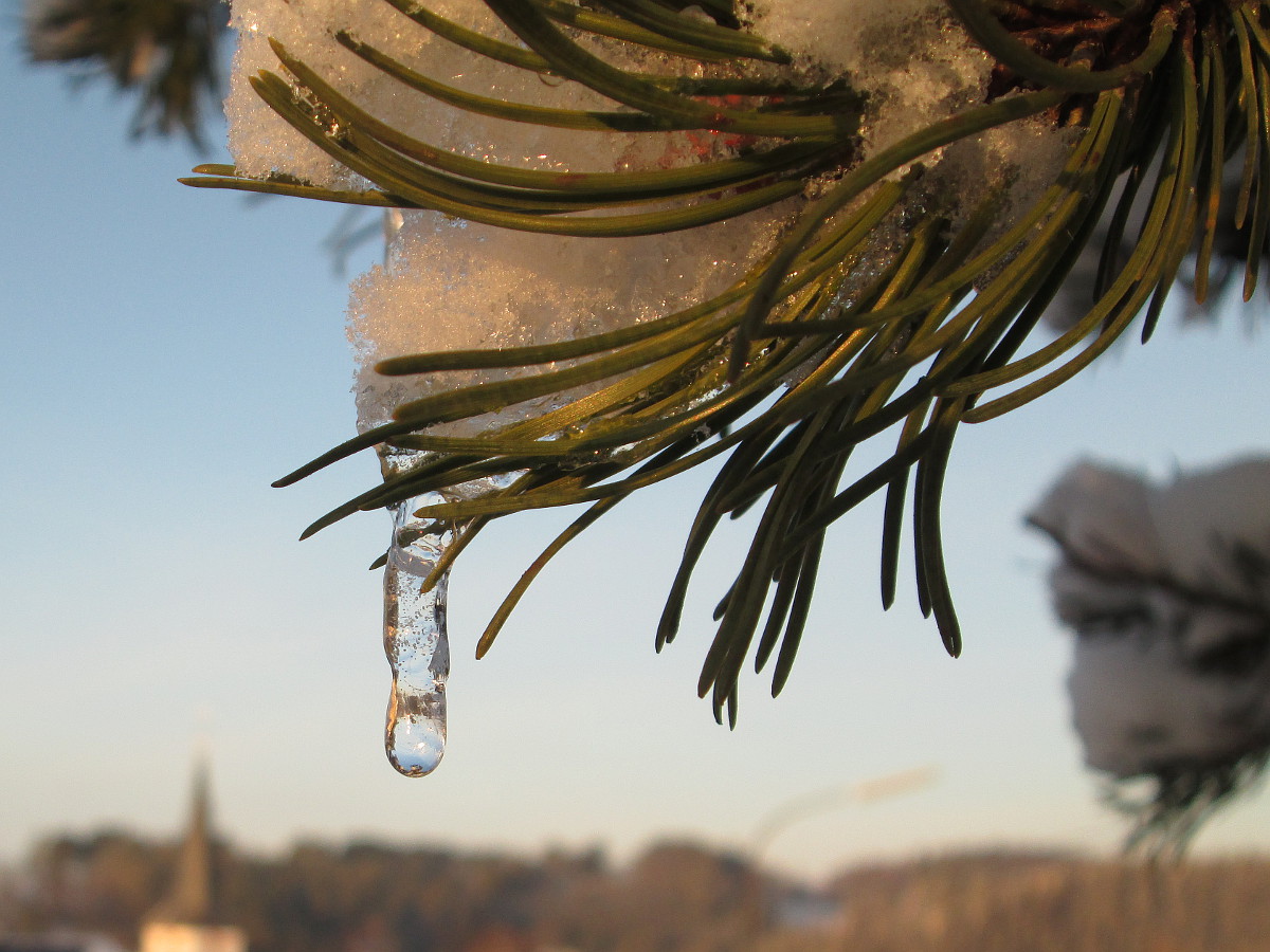 Winter in Nettersheim